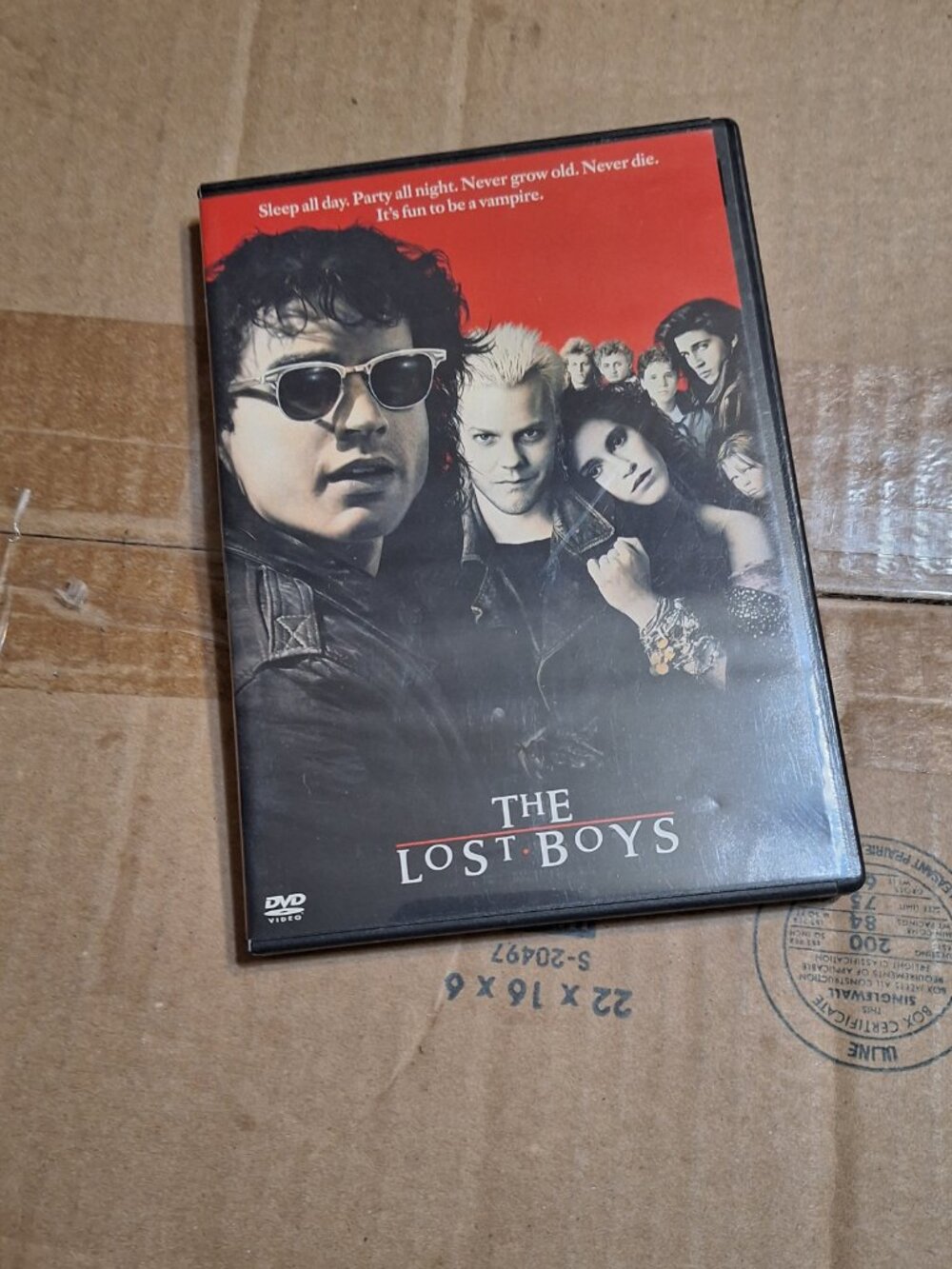The Lost Boys DVD